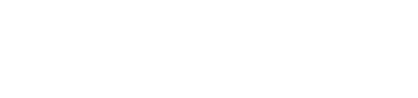 skena logo white